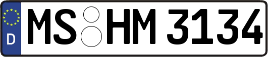 MS-HM3134