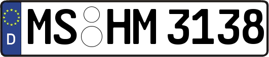 MS-HM3138