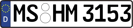 MS-HM3153