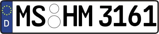 MS-HM3161