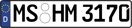 MS-HM3170
