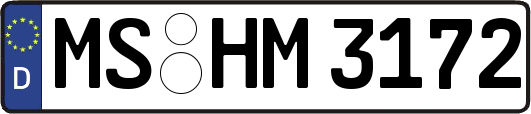 MS-HM3172