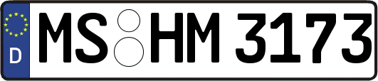 MS-HM3173