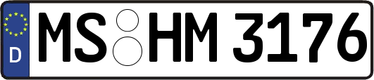 MS-HM3176