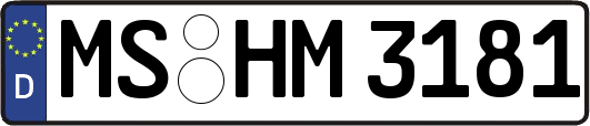 MS-HM3181