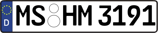 MS-HM3191
