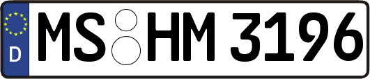 MS-HM3196