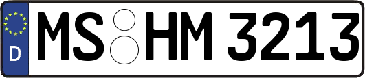 MS-HM3213