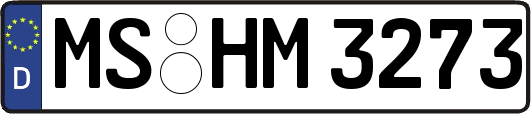 MS-HM3273