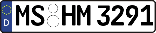 MS-HM3291