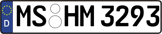 MS-HM3293