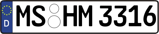 MS-HM3316