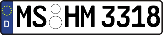 MS-HM3318