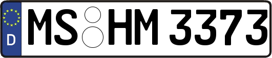 MS-HM3373