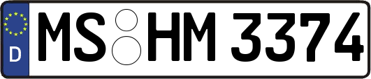 MS-HM3374
