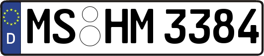 MS-HM3384