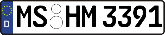 MS-HM3391