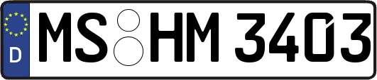 MS-HM3403