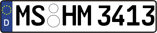 MS-HM3413