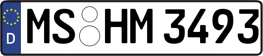 MS-HM3493