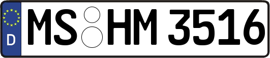 MS-HM3516