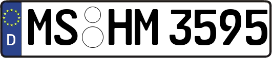 MS-HM3595