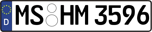 MS-HM3596