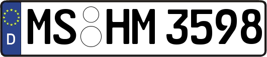 MS-HM3598