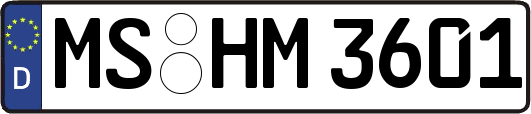 MS-HM3601