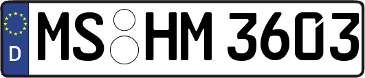 MS-HM3603