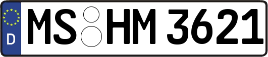 MS-HM3621
