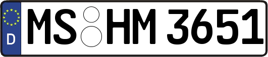 MS-HM3651