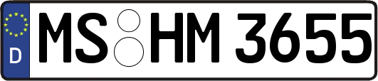 MS-HM3655