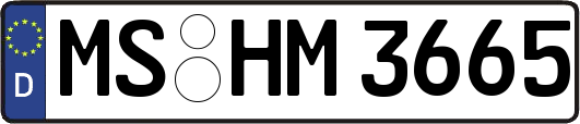 MS-HM3665