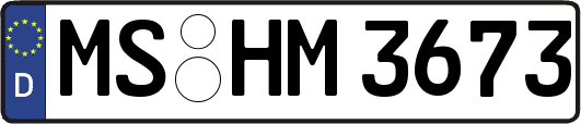MS-HM3673