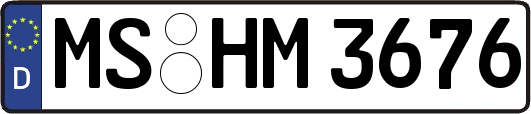 MS-HM3676