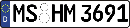 MS-HM3691