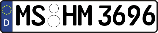 MS-HM3696
