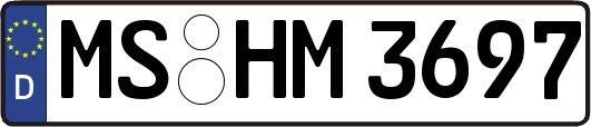 MS-HM3697