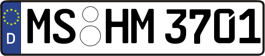 MS-HM3701