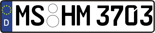 MS-HM3703