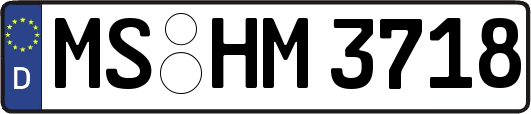 MS-HM3718