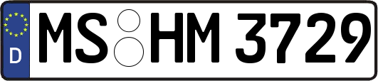 MS-HM3729