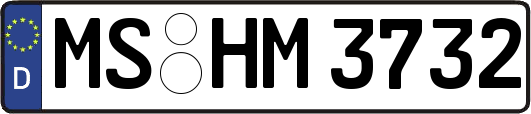MS-HM3732