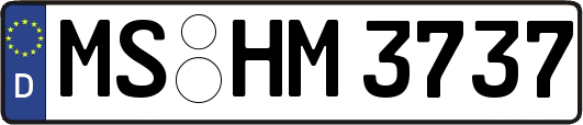 MS-HM3737