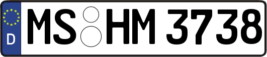 MS-HM3738