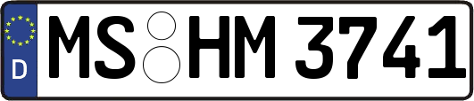 MS-HM3741