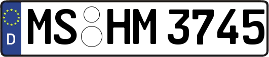 MS-HM3745