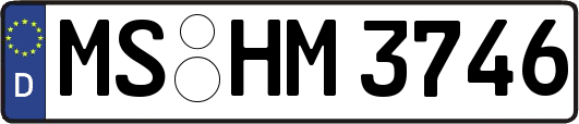 MS-HM3746