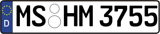 MS-HM3755
